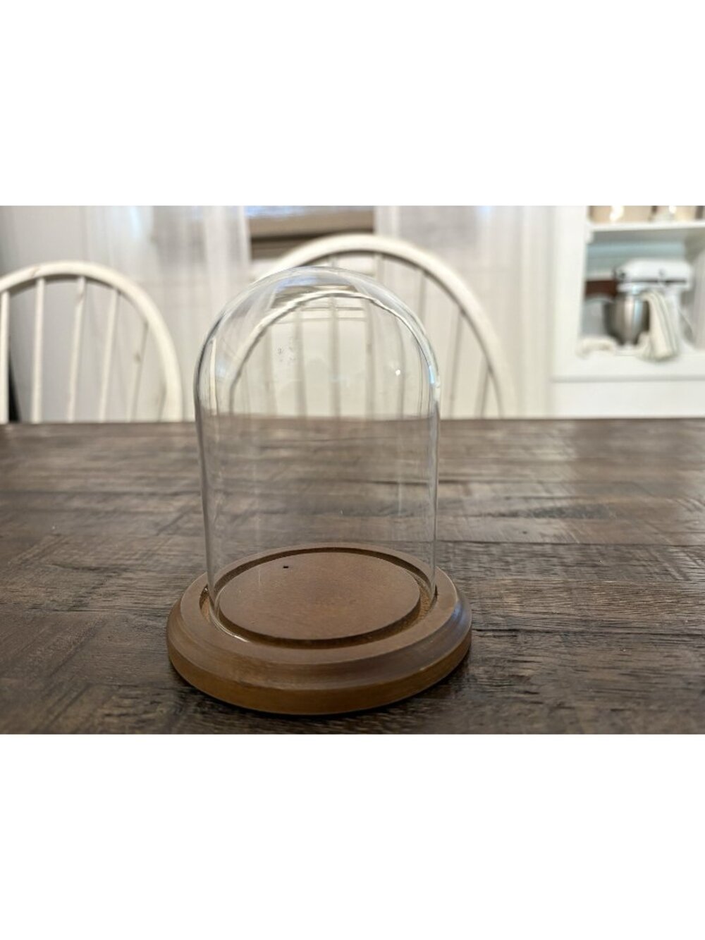 Glass Display Dome Cloche Wooden Base Bell Terrarium